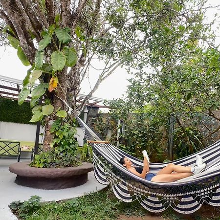 Montefresco Boutique Hostel Monteverde Kültér fotó